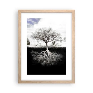 Póster en marco roble claro - Descubrir la naturaleza del mundo - 30x40 cm