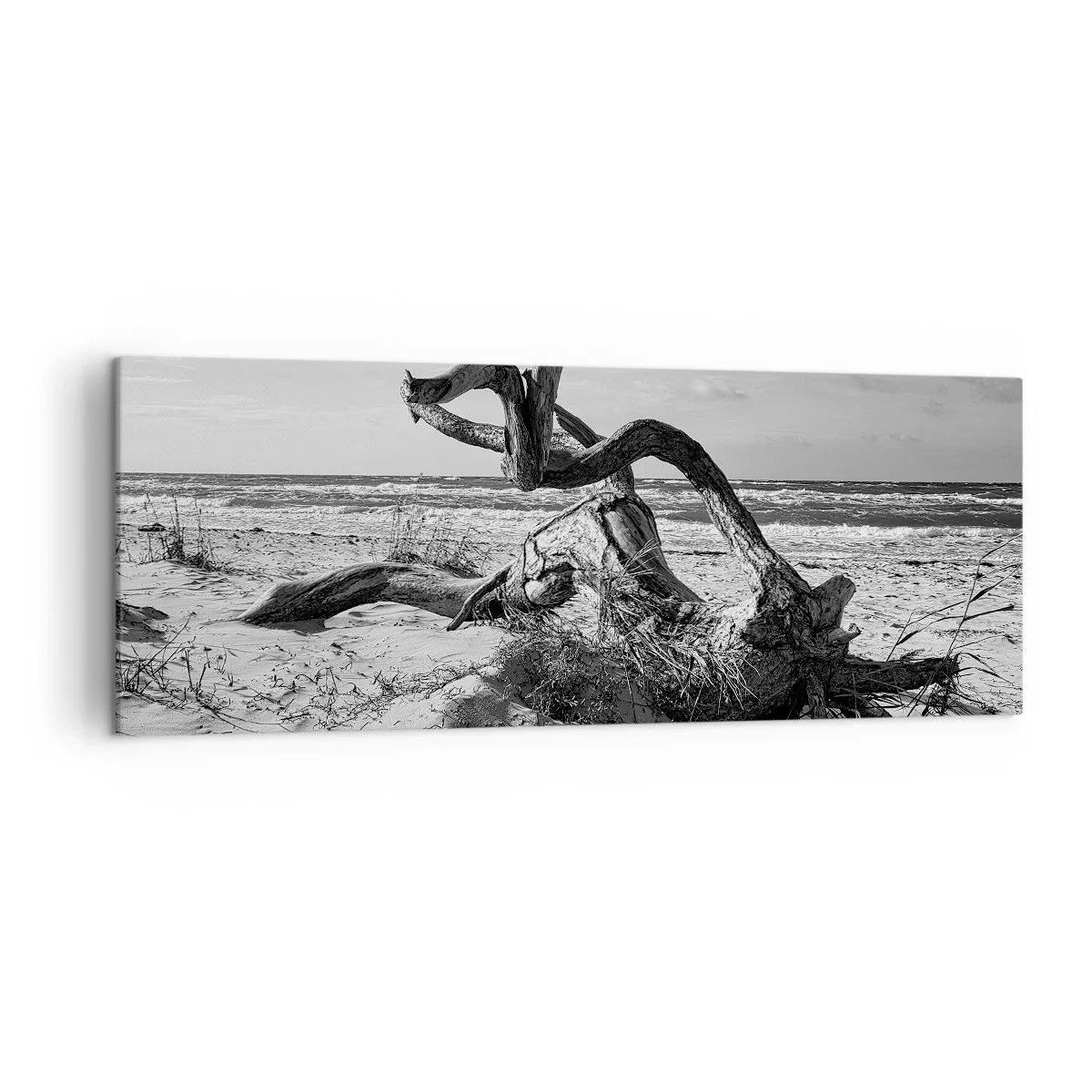 Cuadro sobre lienzo - Impresión de Imagen - Paisaje en blanco y negro con un árbol muerto en la playa. - 140x50cm - Escultura marina - Decoración de pared moderna para salón y dormitorio ARTTOR