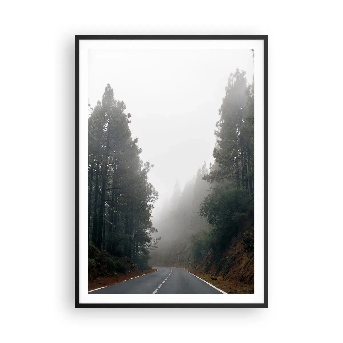 Póster en marco negro - La historia de un bosque mágico - 70x100 cm