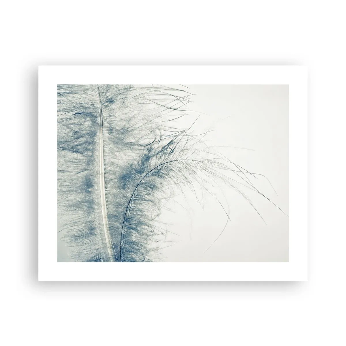 Póster - Susurro de la naturaleza - 50x40 cm