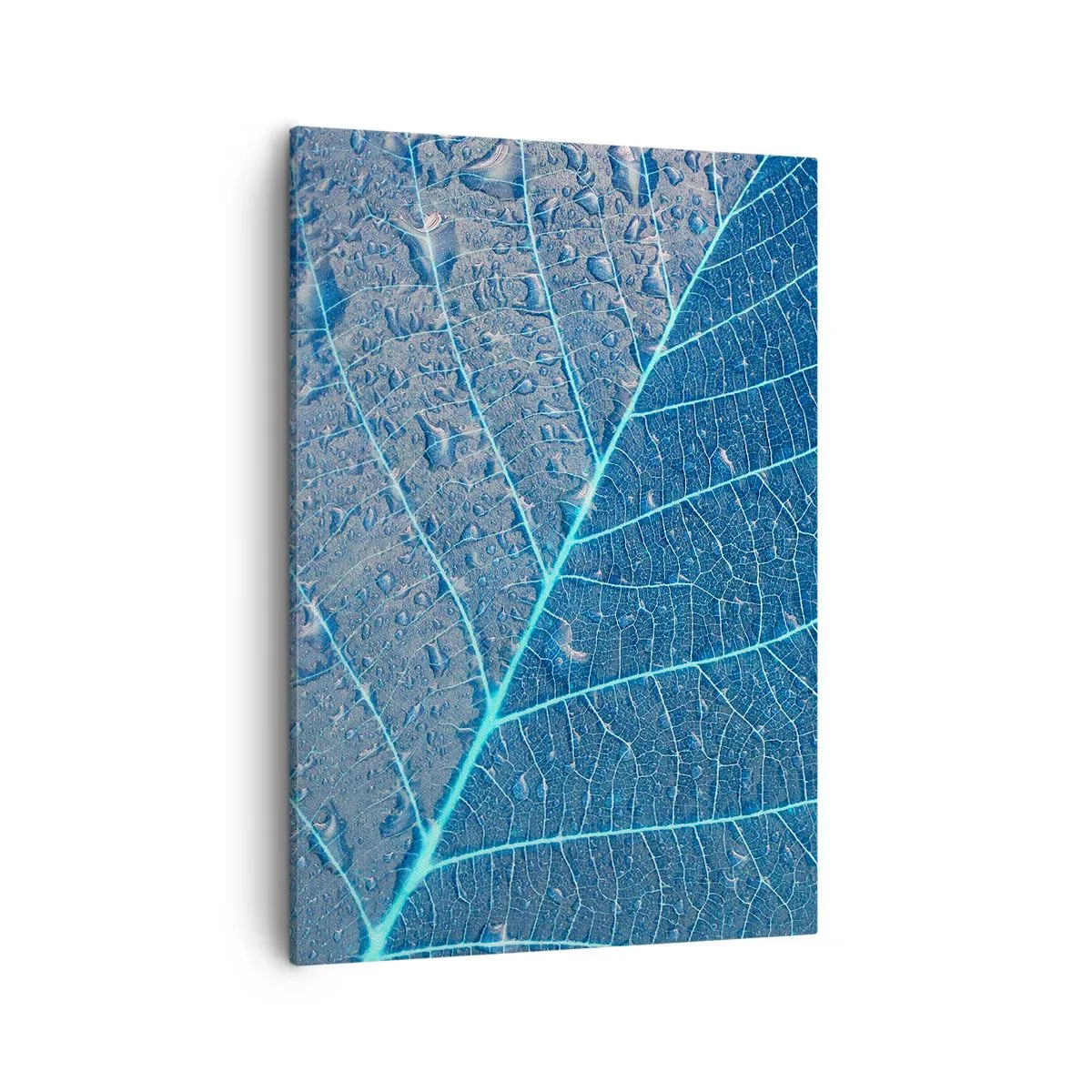 Cuadro sobre lienzo - Impresión de Imagen - Una hoja en tonos azules con gotas de agua. - 50x70cm - Vida en el azul - Decoración de pared moderna para salón y dormitorio ARTTOR