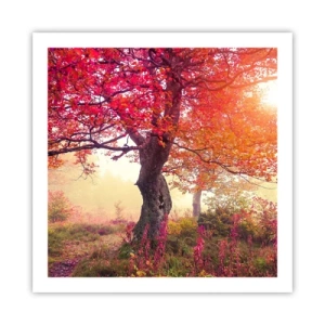 Póster - Un frenesí de floración - 60x60 cm