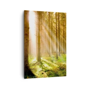 Cuadro sobre lienzo - Impresión de Imagen - Bosque de coníferas con rayos de sol brillando a través de los árboles. - 70x100cm - Los elfos se aproximan - Decoración de pared moderna para salón y dormitorio ARTTOR