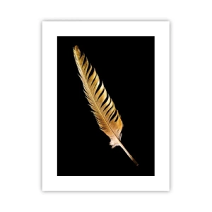 Póster - Pluma de alta calidad - 30x40 cm