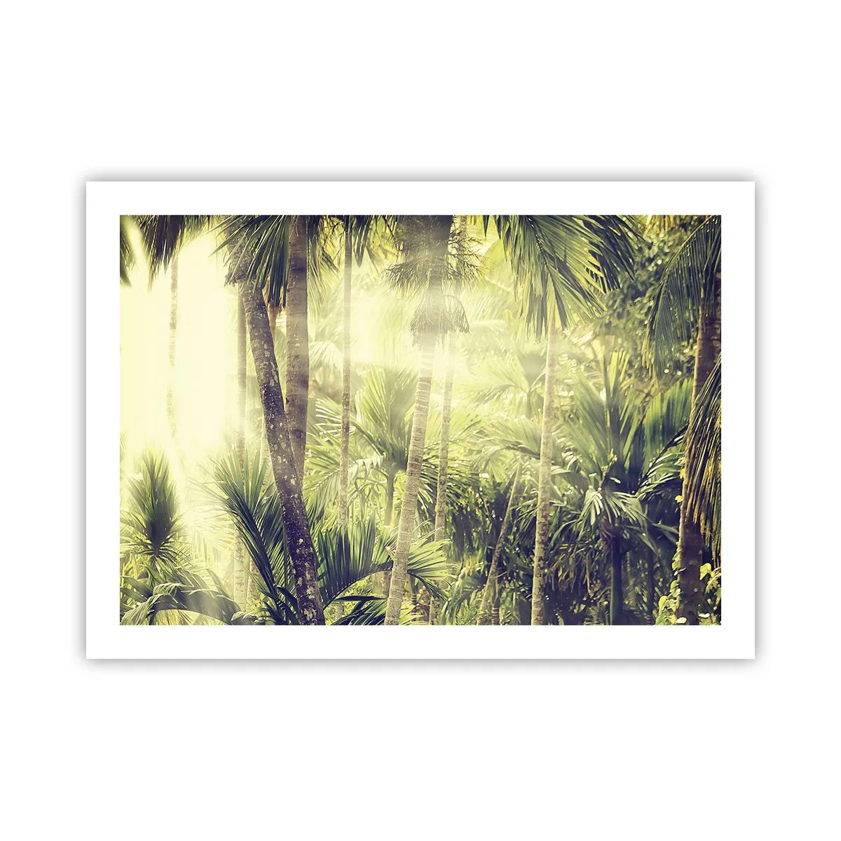 Póster - En el cálido verde - 70x50 cm