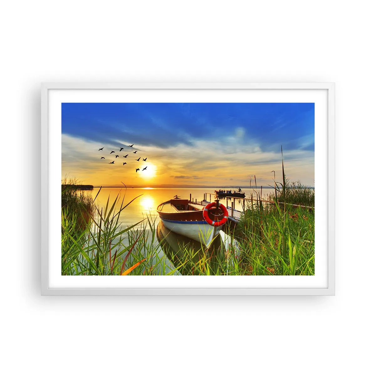 Póster en marco blanco - Los cormoranes están volando - 70x50 cm