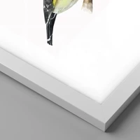 Blanco