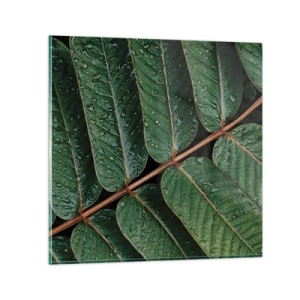 Cuadro sobre vidrio - Impresiones sobre Vidrio - En un ritmo verde - 50x50 cm