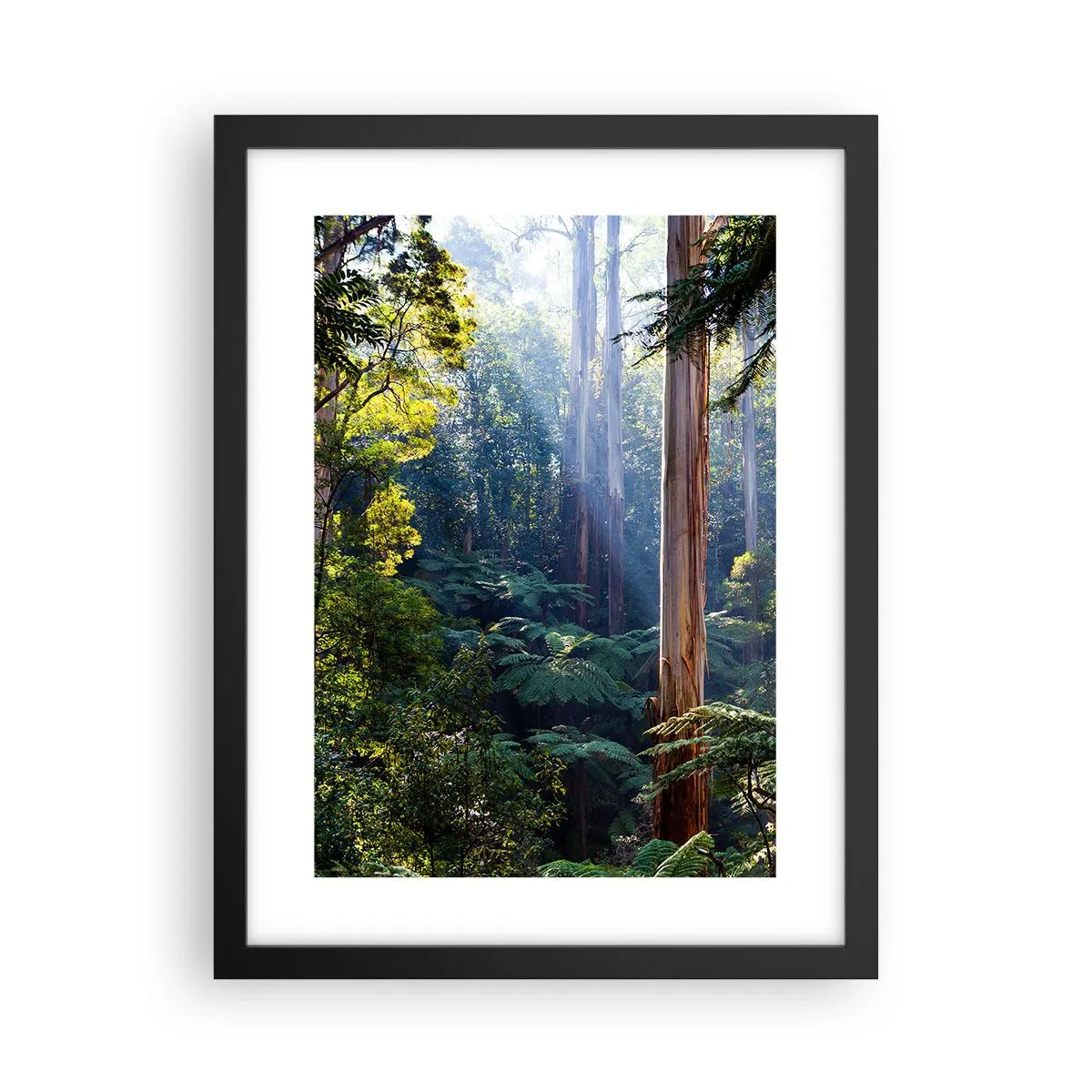 Póster en marco negro - Un cuento de hadas del bosque - 30x40 cm