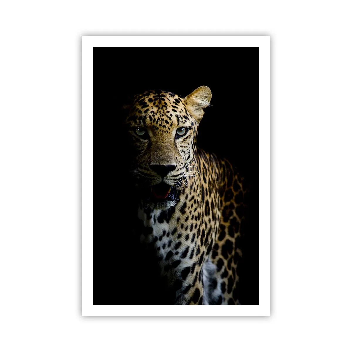 Póster - Belleza oscura - 61x91 cm