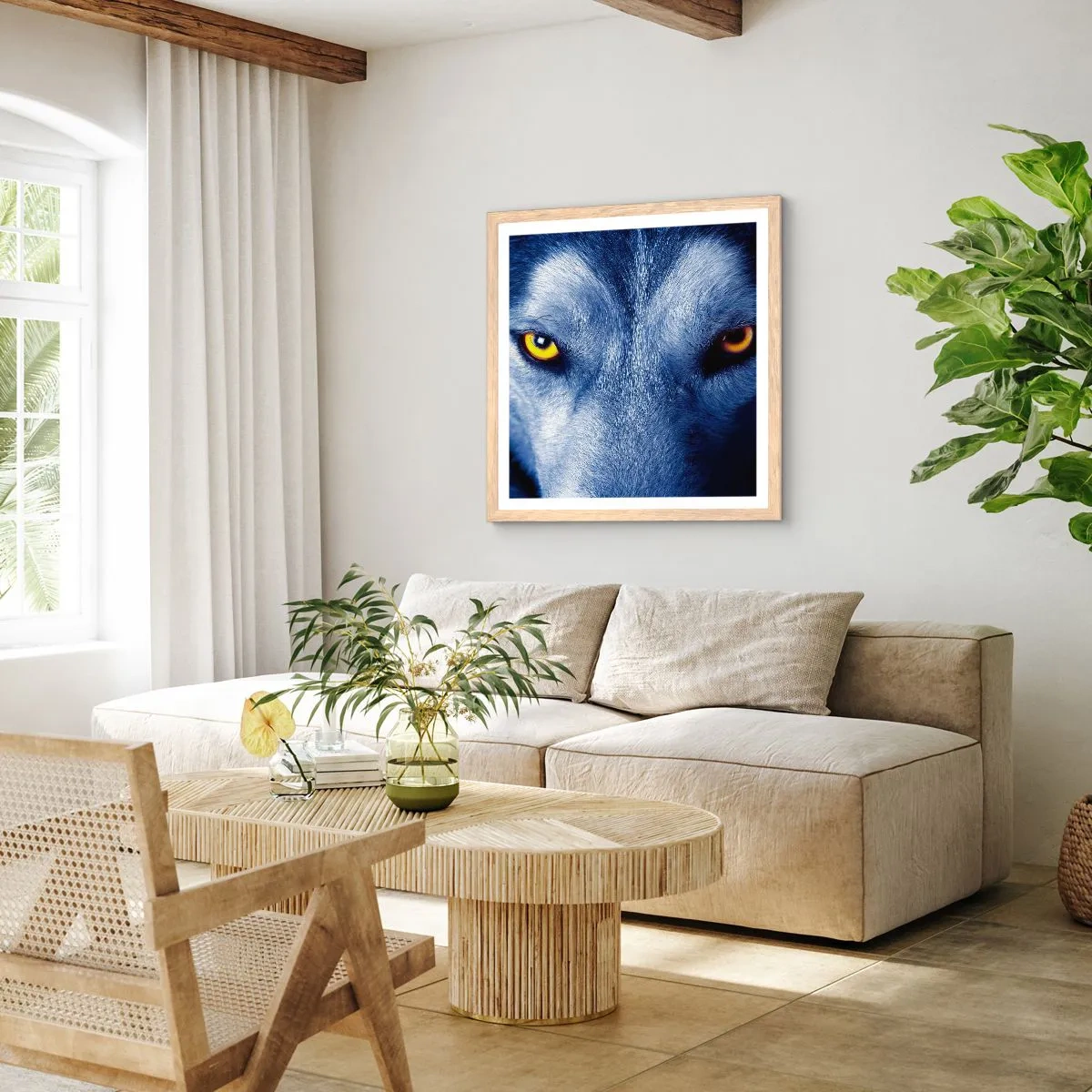 Póster en marco roble claro - La mirada hipnótica - 50x50 cm