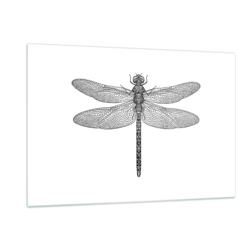 Cuadro sobre vidrio - Impresiones sobre Vidrio - Ilustración detallada de una libélula en estilo grabado sobre un fondo blanco. - 120x80cm - Precisión de la naturaleza - Decoración de pared moderna para salón y dormitorio ARTTOR