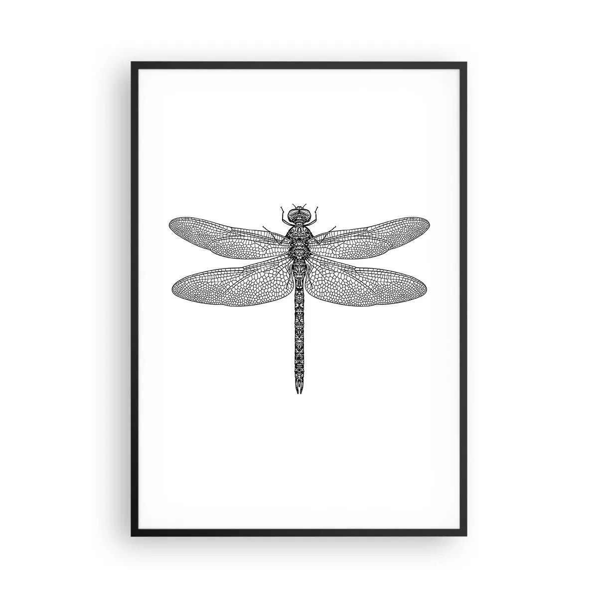 Póster en marco negro - Precisión de la naturaleza - 70x100 cm