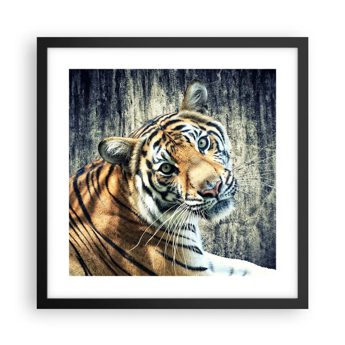 Póster en marco negro - Retrato en corrientes de luz - 40x40 cm