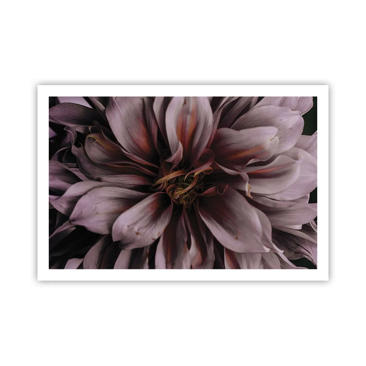 Póster - Corazón floral - 91x61 cm