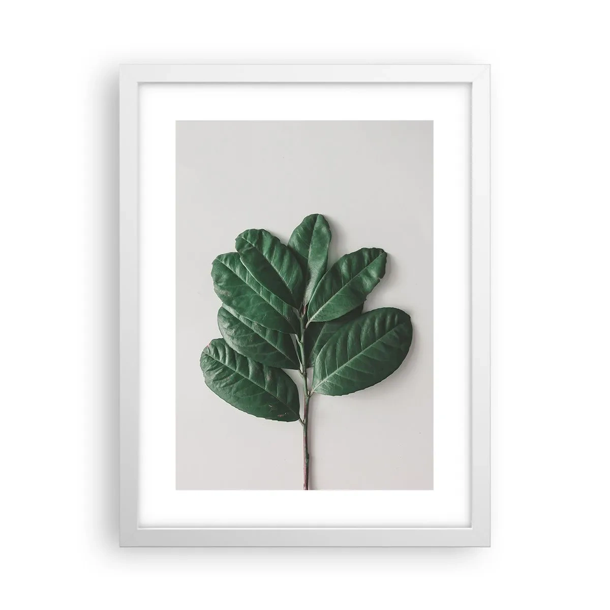 Póster en marco blanco - El dibujo de la propia naturaleza - 30x40 cm