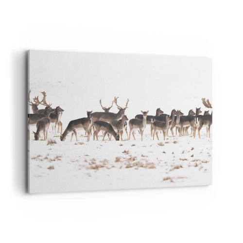 Cuadro sobre lienzo - Impresión de Imagen - Una manada de ciervos sobre un fondo nevado. - 100x70cm - ¿Se acerca la Navidad? - Decoración de pared moderna para salón y dormitorio ARTTOR