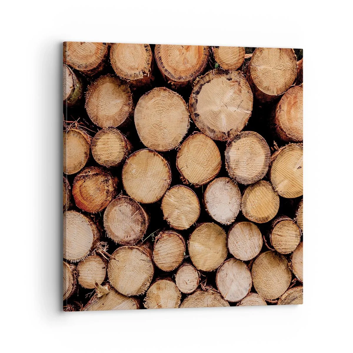 Cuadro sobre lienzo - Impresión de Imagen - Un nuevo comienzo - 70x70 cm