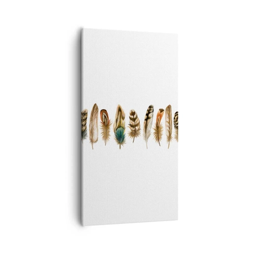 Cuadro sobre lienzo - Impresión de Imagen - Estudio de plumas - 55x100 cm