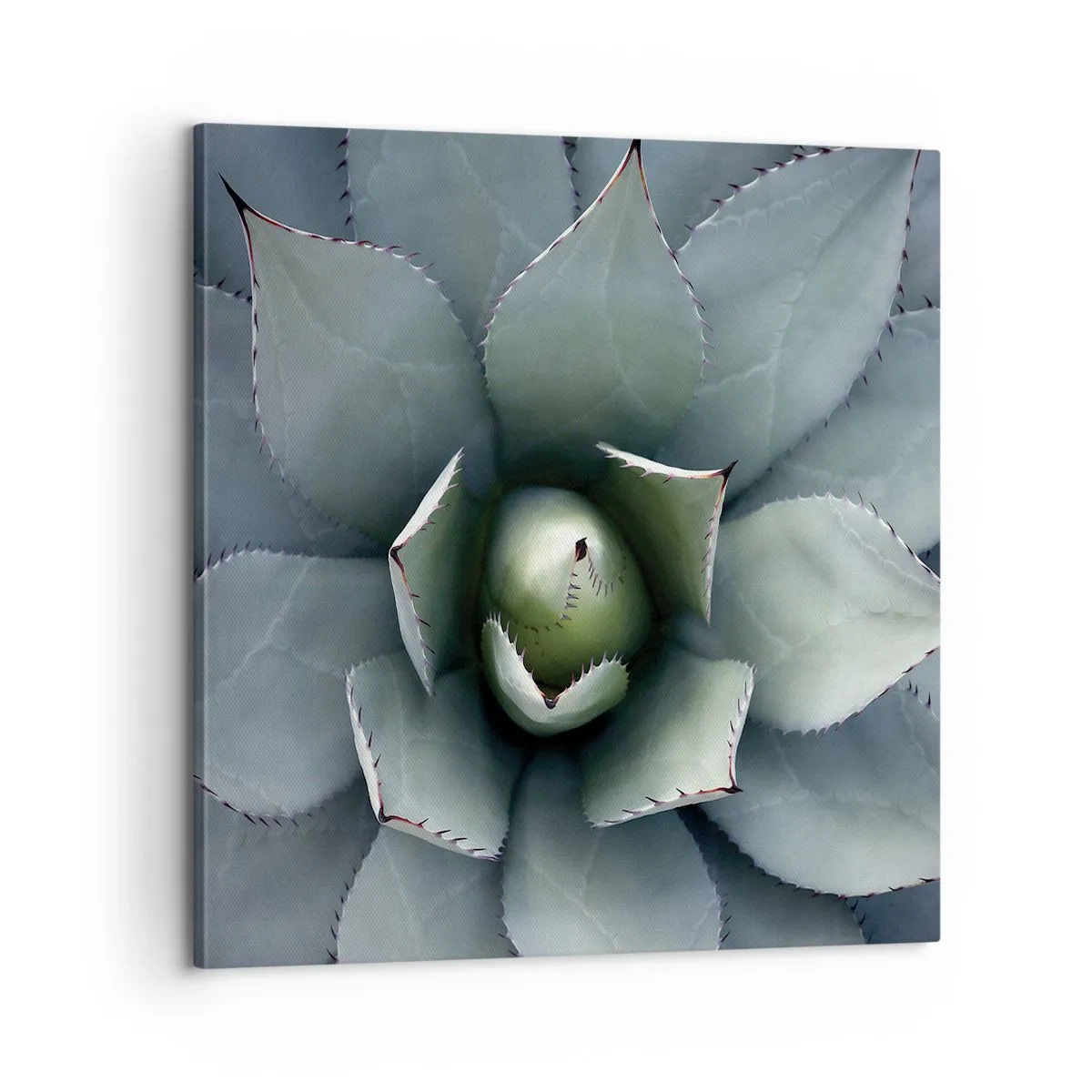 Cuadro sobre lienzo - Impresión de Imagen - Perfección natural - 60x60 cm