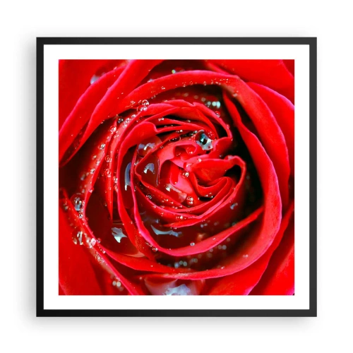Póster en marco negro - En gotas de rocío - 60x60 cm