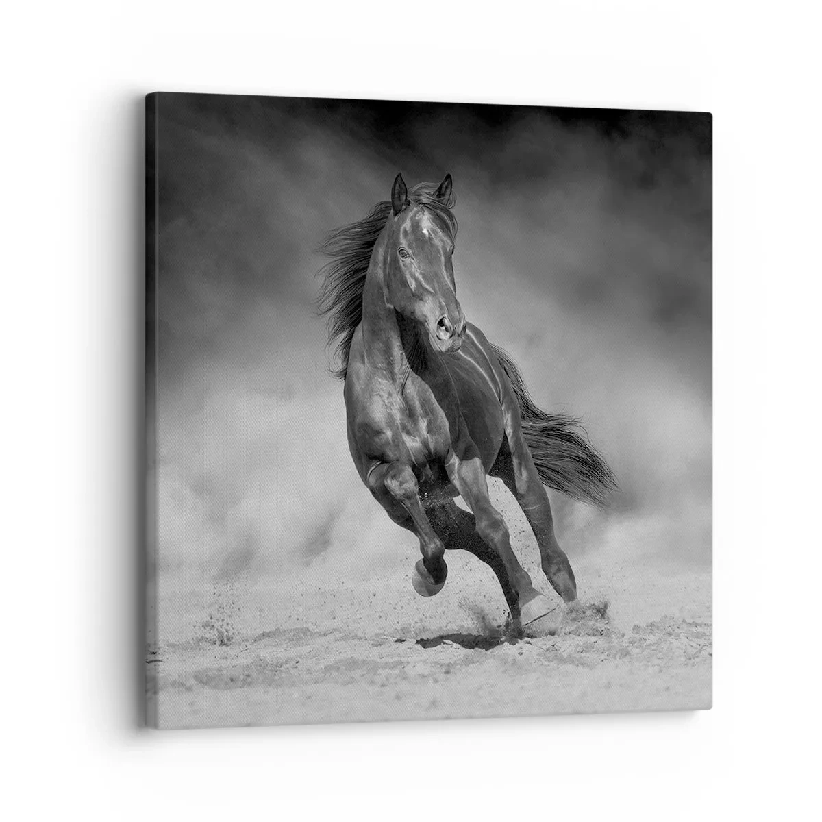 Cuadro sobre lienzo - Impresión de Imagen - Digno del propio emir - 30x30 cm