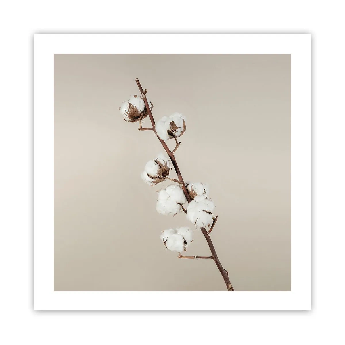 Póster - En la fuente de la suavidad - 50x50 cm