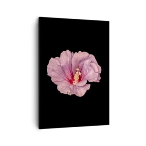Cuadro sobre lienzo - Impresión de Imagen - Flor rosa sobre fondo negro - 50x70cm - Directo al corazón - Decoración de pared moderna para salón y dormitorio ARTTOR