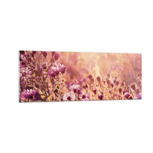 Cuadro sobre vidrio - Impresiones sobre Vidrio - Pradera a la luz del sol poniente - 140x50cm - Antes de que se acabe el verano - Decoración de pared moderna para salón y dormitorio ARTTOR