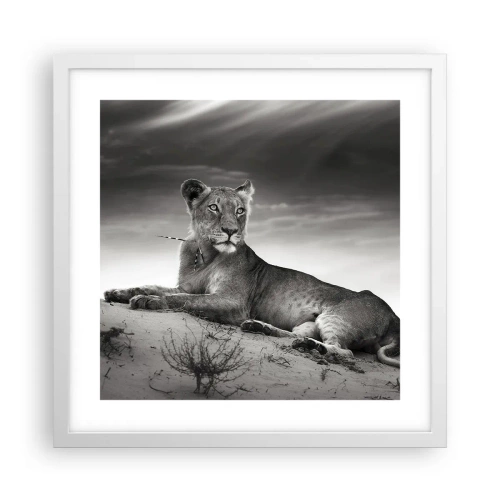 Póster en marco blanco - Descanso de la reina del desierto - 40x40 cm