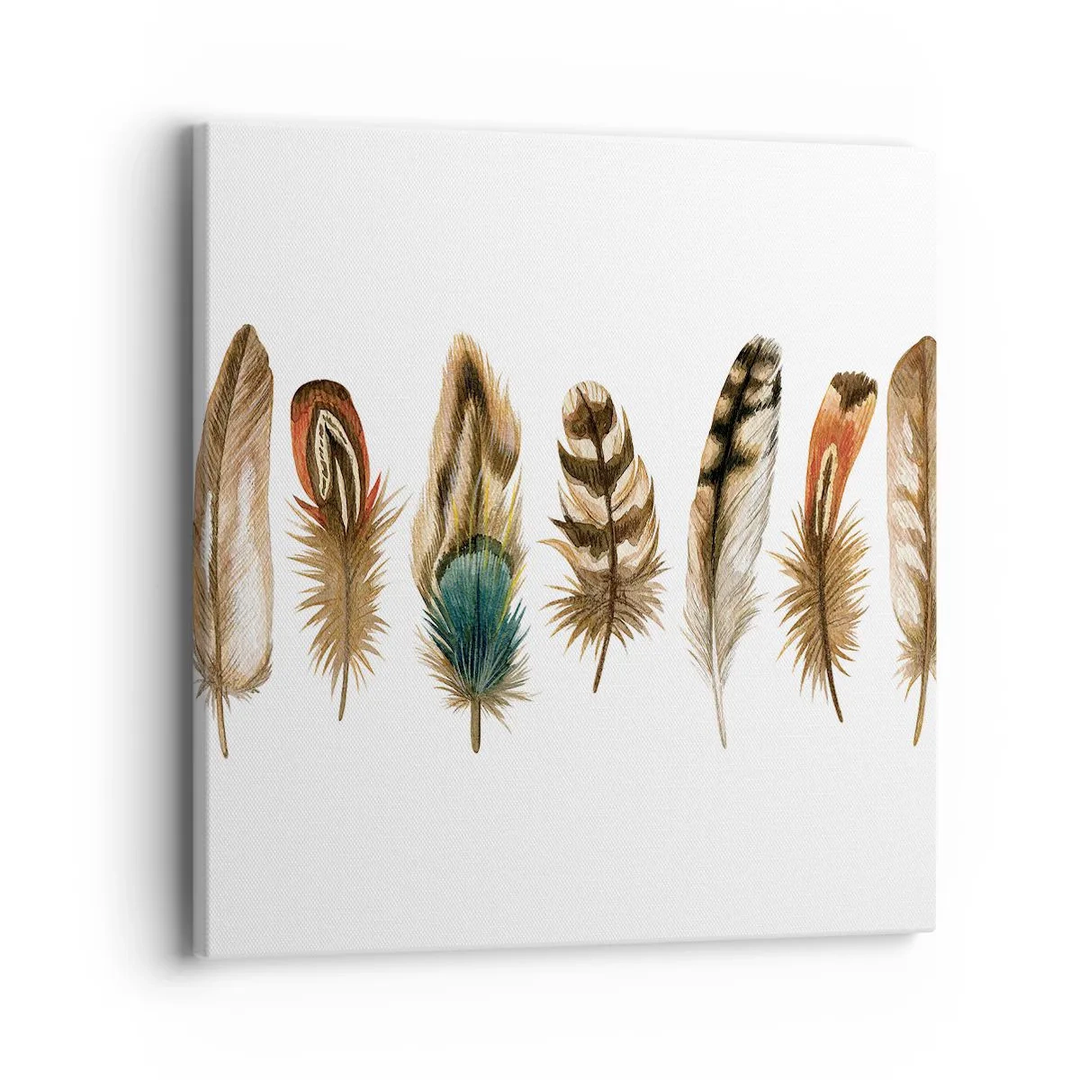 Cuadro sobre lienzo - Impresión de Imagen - Estudio de plumas - 40x40 cm