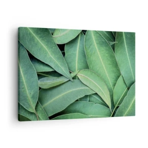 Cuadro sobre lienzo - Impresión de Imagen - Primer plano de hojas verdes que crean un patrón natural. - 70x50cm - Jugosidad y frescura - Decoración de pared moderna para salón y dormitorio ARTTOR