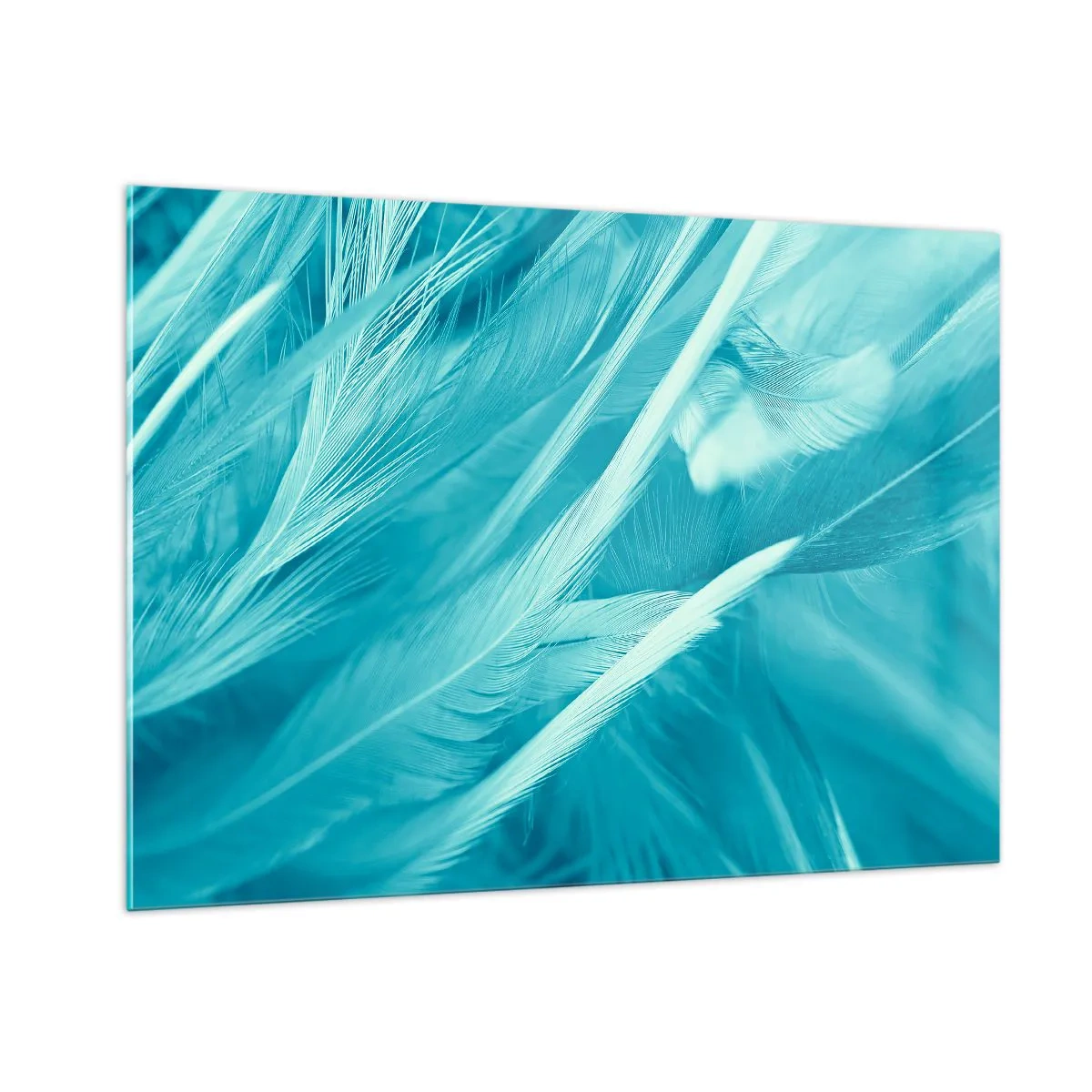 Cuadro sobre vidrio - Impresiones sobre Vidrio - Plumas turquesas en un delicado primer plano - 100x70cm - Un manto real  - Decoración de pared moderna para salón y dormitorio ARTTOR