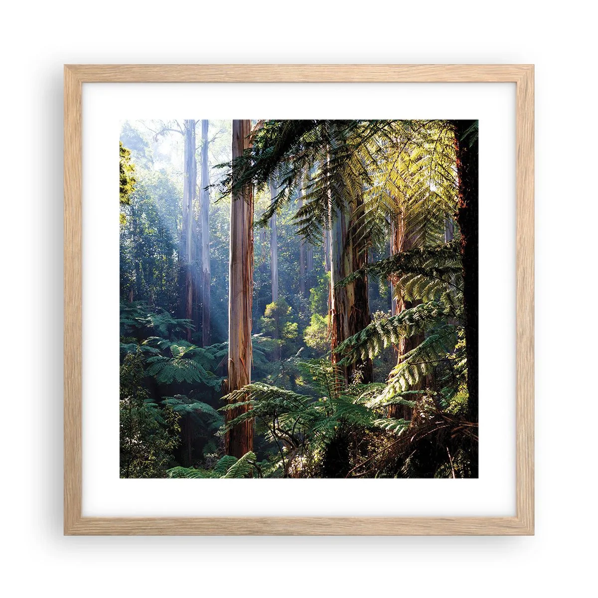 Póster en marco roble claro - Un cuento de hadas del bosque - 40x40 cm