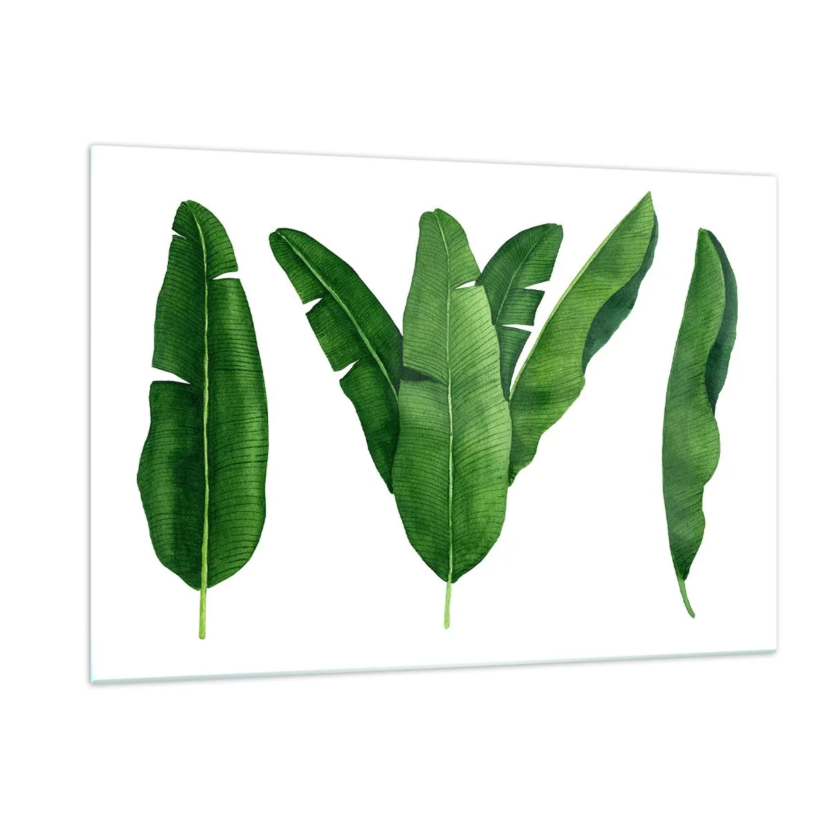 Cuadro sobre vidrio - Impresiones sobre Vidrio - Cuatro hojas de plátano verdes sobre un fondo blanco. - 120x80cm - Simetría verde - Decoración de pared moderna para salón y dormitorio ARTTOR