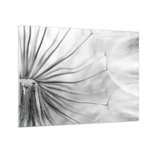 Cuadro sobre vidrio - Impresiones sobre Vidrio - Fotografía macro de un diente de león en tonos blanco y negro. - 70x50cm - Caricias del viento - Decoración de pared moderna para salón y dormitorio ARTTOR