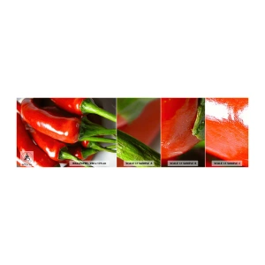 Muestra de fotomural autoadhesivo Deluxe Sticker - Jugoso, brillante, suave - Gastronomía, Pimienta, Verduras - 100x30 cm
