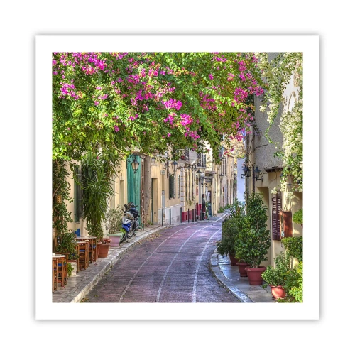 Póster - Un callejón floreciente - 60x60 cm