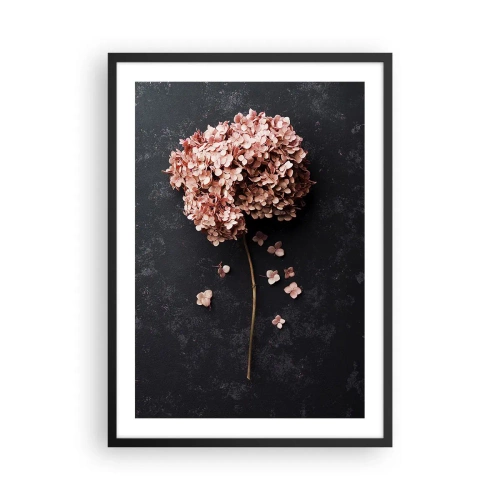 Póster en marco negro - Hortensia seca sobre fondo negro - 50x70cm - Un signo verdaderamente romántico - Decoración de pared moderna para salón y dormitorio ARTTOR
