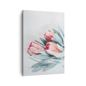 Cuadro sobre lienzo - Impresión de Imagen - Sutiles flores de protea rosa sobre un fondo claro. - 50x70cm - Avergonzada de su propia belleza - Decoración de pared moderna para salón y dormitorio ARTTOR