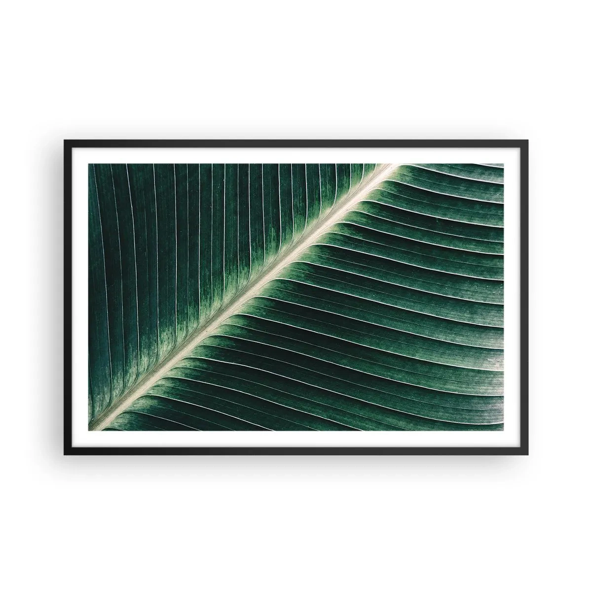 Póster en marco negro - El ritmo de la naturaleza - 91x61 cm