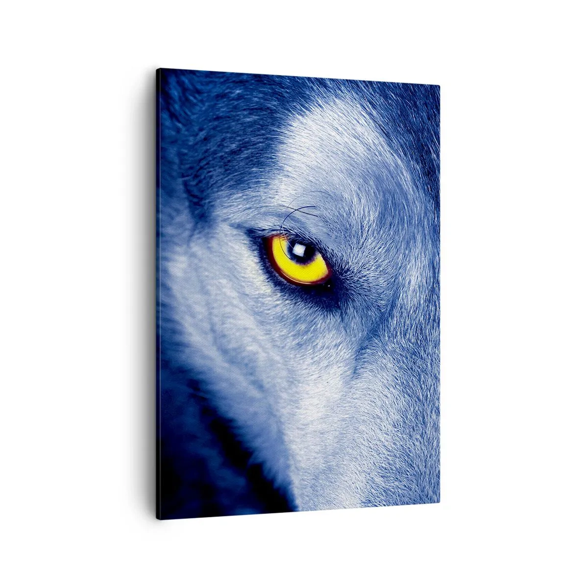 Cuadro sobre lienzo - Impresión de Imagen - Primer plano de la intensa mirada de un lobo sobre un fondo oscuro. - 50x70cm - La mirada hipnótica - Decoración de pared moderna para salón y dormitorio ARTTOR