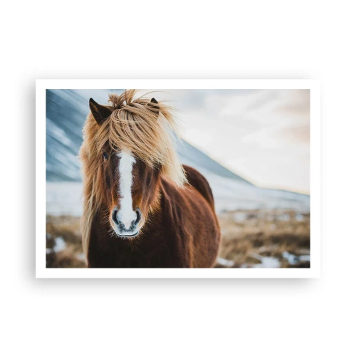 Póster - Caballo islandés frente a un paisaje montañoso - 100x70cm - ¿Puedes sentir la libertad? - Decoración de pared moderna para salón y dormitorio ARTTOR