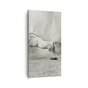 Cuadro sobre lienzo - Impresión de Imagen - Entre la realidad y el sueño - 65x120 cm
