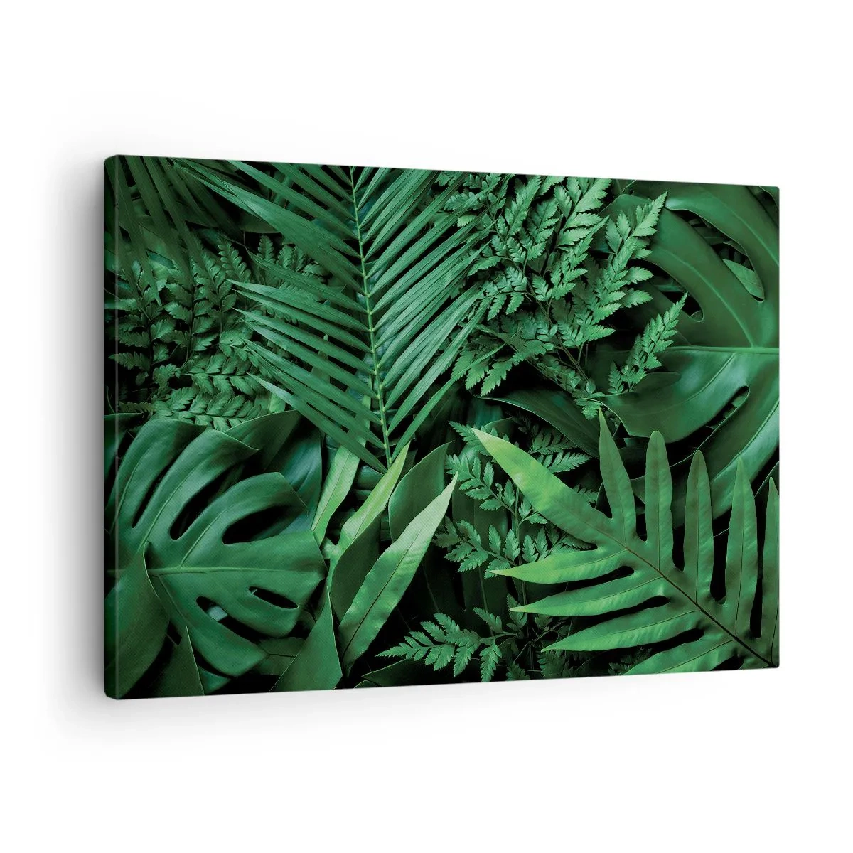 Cuadro sobre lienzo - Impresión de Imagen - Hojas tropicales verdes en una composición densa y natural. - 70x50cm - Abrazo verde - Decoración de pared moderna para salón y dormitorio ARTTOR