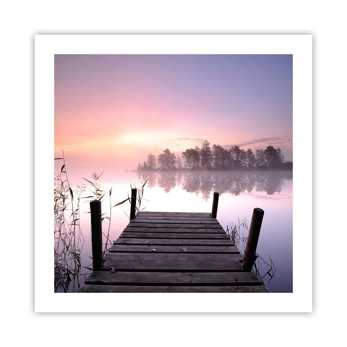 Póster - De la niebla lila... - 50x50 cm