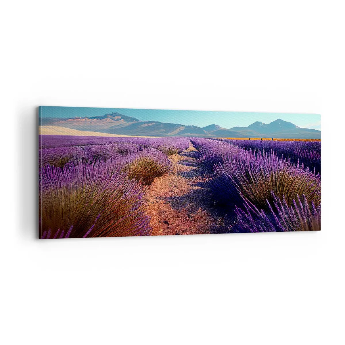 Cuadro sobre lienzo - Impresión de Imagen - Campos fragantes - 100x40 cm