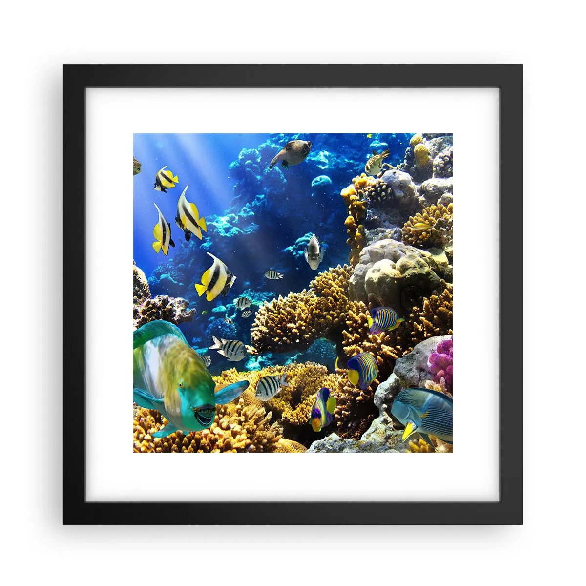 Póster en marco negro - Vacaciones submarinas - 30x30 cm