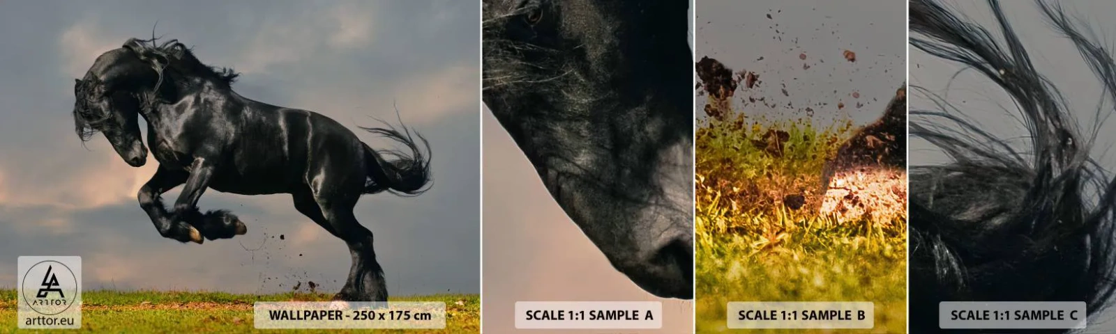 Muestra de fotomural autoadhesivo Deluxe Sticker - Hermoso y libre - animales, Caballo, Paisaje - 100x30 cm