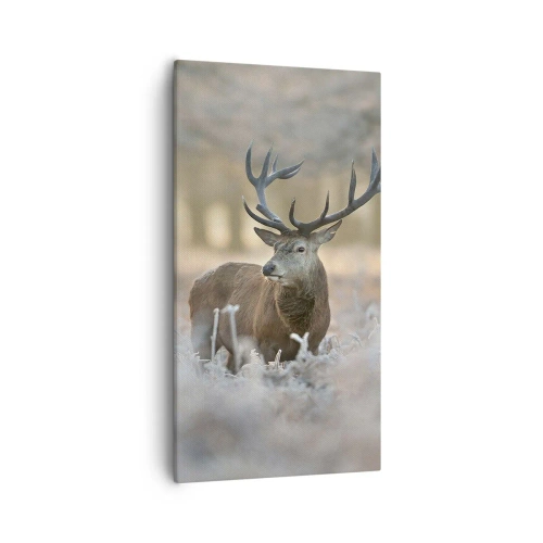 Cuadro sobre lienzo - Impresión de Imagen - Una mañana fresca - 55x100 cm